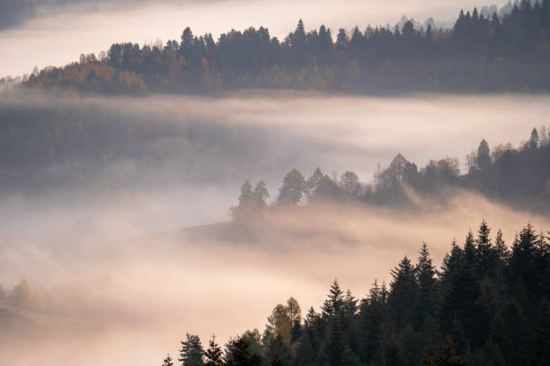istock Foggy Morning in a Mountain Landscape 1708226362