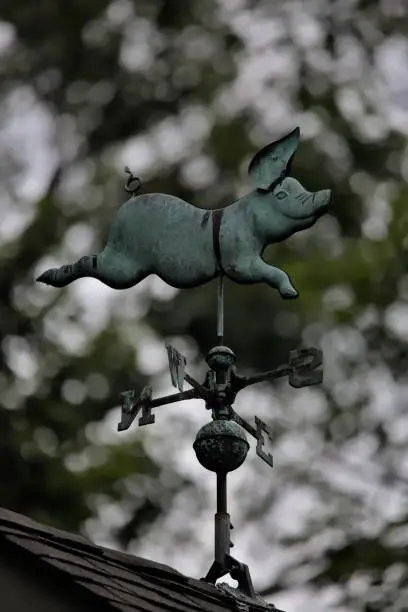 Photo of flying pig weathervane on top of house (north, east, west, south, n,e,w,s) flying animal directional sign (wind vane, weather vane, or weathercock)