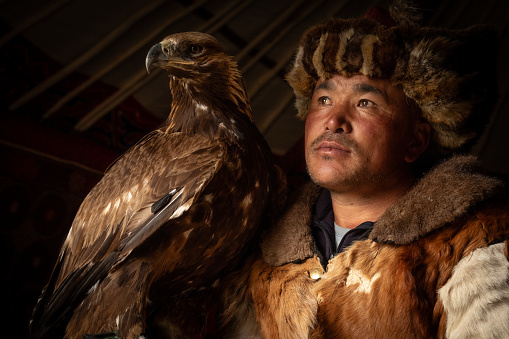 Portrait of a Kazakh nomadic eagle hunter with his Golden Eagle. He is sitting in the doorway of his ger in the Altai Mountains of Mongolia. Natural light is reflecting on his face and the bird of prey on his arm. The hunter is wearing traditional animal fur clothing.