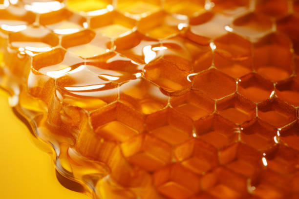 istock Advertising photo of honey 1708295371