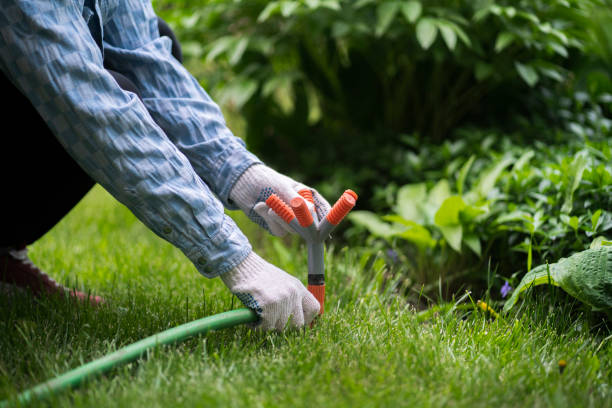 istock man holding a grass water sprinker and adjusting the atomatic watering system 1708295937