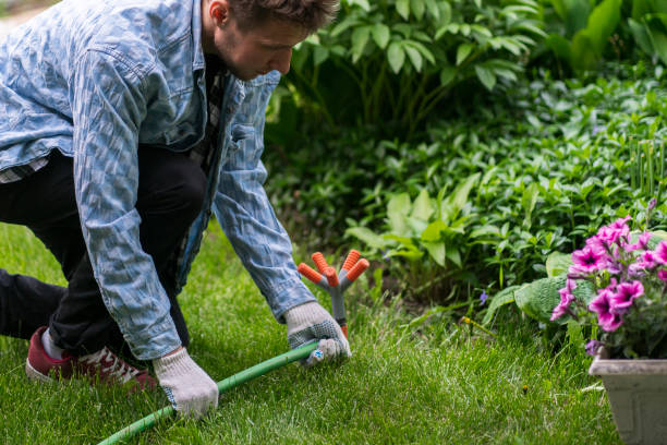istock man holding a grass water sprinker and adjusting the atomatic watering system 1708295946