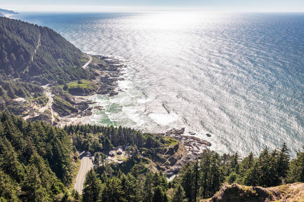 istock Cape Perpetua Scenic Area Trail Overlook 1708296484