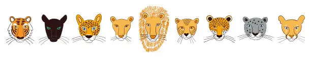 Vector illustration of Big cats faces isolated collection, color.