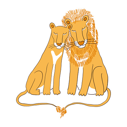 Cute lions together hand drawn cartoon character illustration, sketch. Line art, drawing style design, isolated vector. Tropical animal, jungle wildlife, big cats, safari, nature, print element