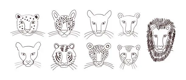 Vector illustration of Big cats faces isolated collection, outline.