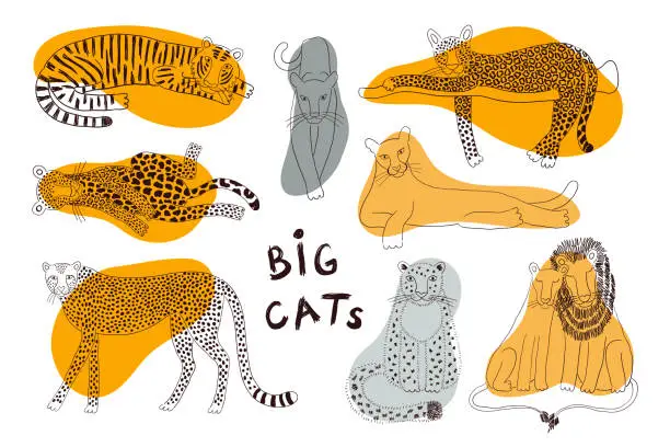 Vector illustration of Big cats isolated collection, abstract shapes.