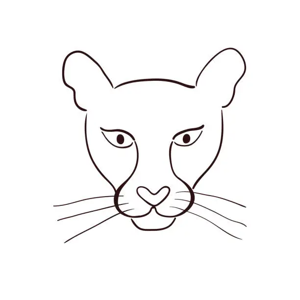 Vector illustration of Cute cougar face hand drawn illustration, sketch.