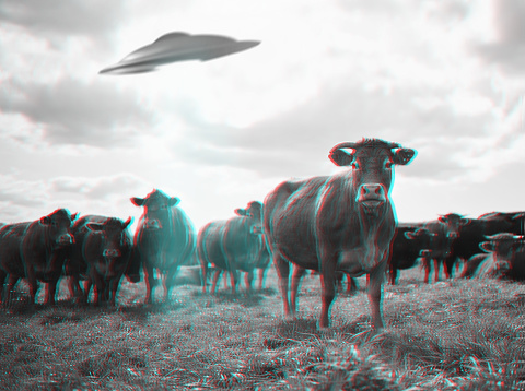 Alien abduction, spaceship and UFO with cow in field for fantasy, science fiction and space invasion. Extraterrestrial, travel and flying saucer beam on cattle farm for discovery, explore and mystery