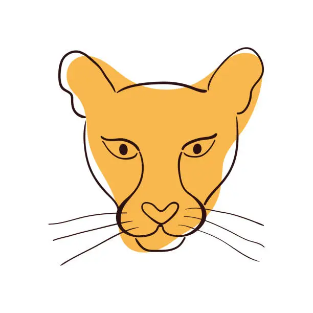 Vector illustration of Cute cougar face hand drawn illustration, sketch.