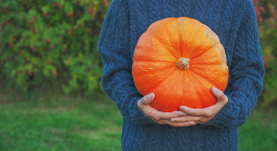 Man in blue sweater holding big orange pumpkin. Autumn Halloween concept