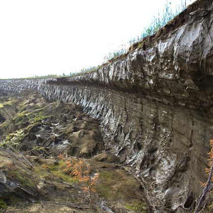 The wall of permafrost was photographed with a Canon D600 camera in summer time. The area is called Batagaika in the Verkhoyanskiy district of Yakutia