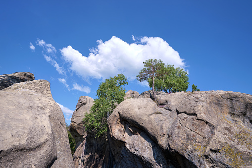 Huge rocky boulder formations high in mountains with growing trees on summer sunny day.