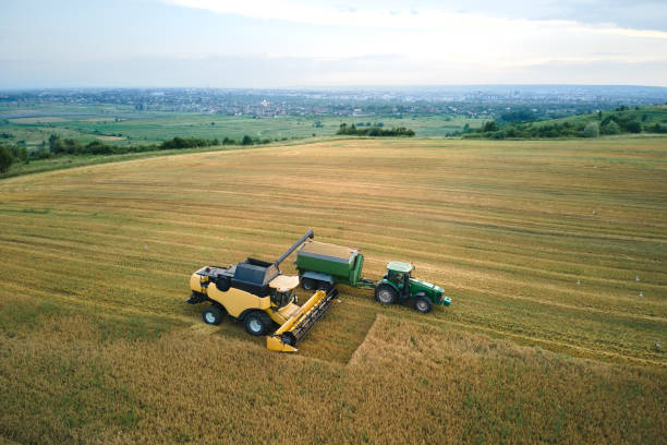 istock Aerial view of combine harvester unloading grain in cargo trailer working during harvesting season on large ripe wheat field. Agriculture and transportation of raw farm products concept 1708390342