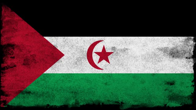 Western Sahara, Paint brush flag animation on a black background, The concept of drawing, brushstroke, grunge, paint strokes, dirty, national, independence, patriotism, election, pencil drawing, oil painting, pastel colored, cartoon,