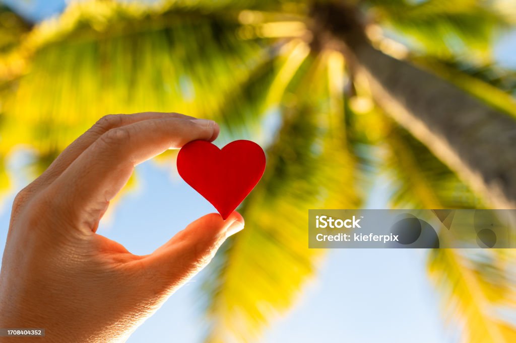 Hand holding heart in tropical background. Hand holding red heart. Valentine's Day - Holiday Stock Photo Hand holding heart in tropical background. Hand holding red heart. Valentine's Day - Holiday Stock Photo