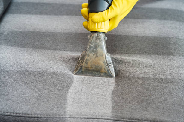 istock Sofa chemical cleaning with professionally extraction method. Wet textile sofa cleaning 1708408127