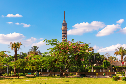 Beautiful park with palms and view of the TV Tower of Cairo, Egypt.
