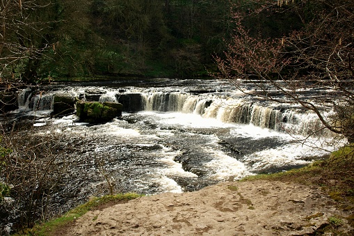 View from the bank of a fast flowing river across water falls to woodland on the far bank