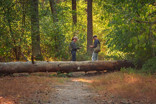 Couple lost in forest. Man and woman with mobile guide in woods. Wanderlust in autumn forest. Looking for direction. Orientation in nature. Romantic travel. Active lifestyle. Tourists with backpack on the trail.