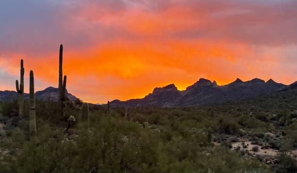 istock Morning sun in the desert 1708505666