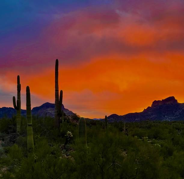 istock Sunrise on the desert 1708505676