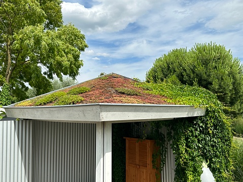 Sedum roof is a roof with vegetation that is more or less self-perpetuating and that can further develop and maintain itself