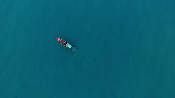 istock Fishing ship with catch fish sailing to shore top drone view. Small ship floats on sea surface leaving path of sea foam water. Concept of hard work on ship in deep sea, fishing seafood to make money. 1708551121