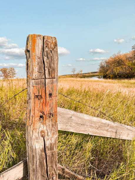 istock Manitoba Prairie  Meadow September 1708598390