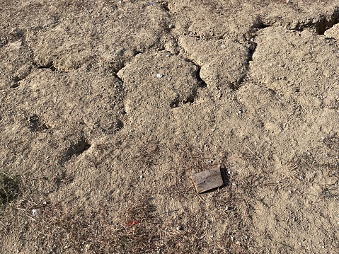 Sand grains on dried soil, globe.