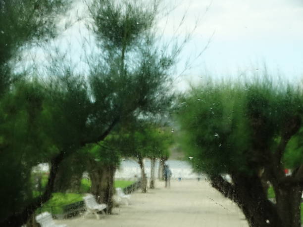 A rainy view of someone walking on the promenade in San Sebastián, Spain. Trees and benches adorn the place and the sea is in the background