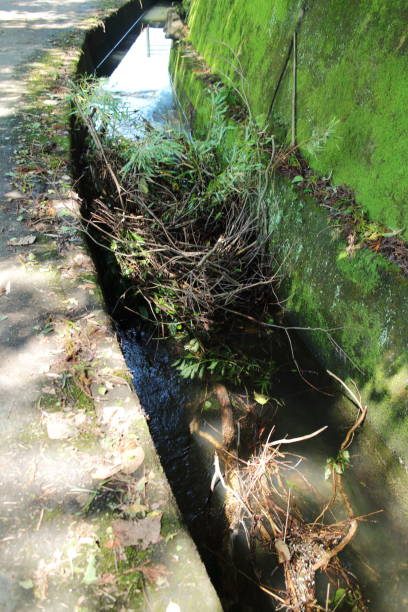 istock waterways clogged with trash 1708694001