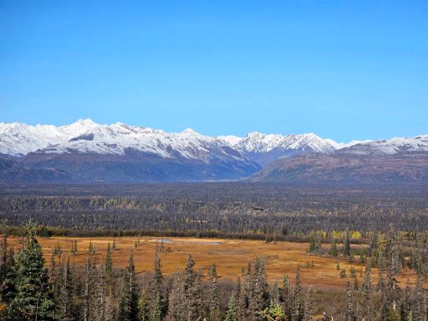 istock Autumn Colors in Alaska 1708734291