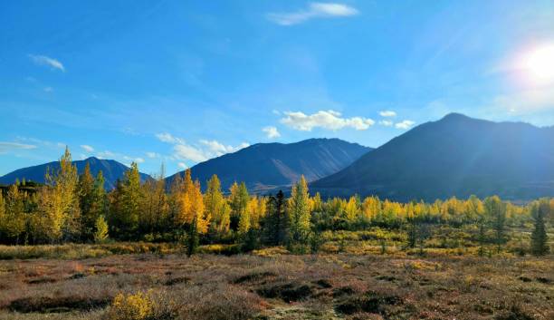 istock Autumn Colors in Alaska 1708734762