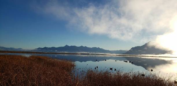 istock Autumn Colors in Alaska 1708736442
