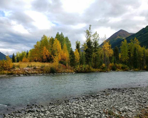 istock Autumn Colors in Alaska 1708737494
