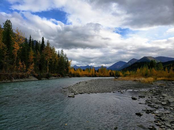 istock Autumn Colors in Alaska 1708737522