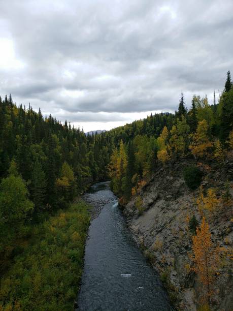 istock Autumn Colors in Alaska 1708738040