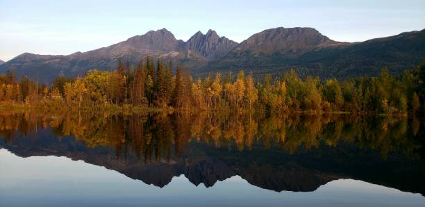 A lake that reflects the surrounding forest and snow-capped mountains of the Alaska Range