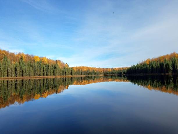 istock Autumn Colors in Alaska 1708738562