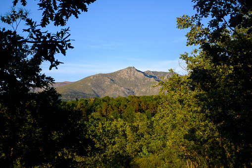 Mountain of northern Extremadura framed by vegetation, Central System Pinajarro Peak