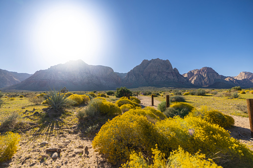 A view of Red Rock Canyon in Las Vegas