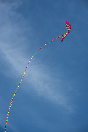 Colorful Asian silk kite flying against the blue sky