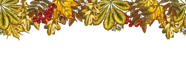 Vector illustration of Autumn leaves seamless border header.