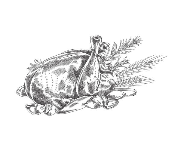 pieczony drób, indyk lub kurczak, ręcznie rysowana ilustracja wektorowa. - roast chicken illustrations stock illustrations