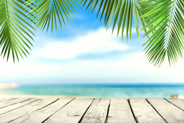istock Empty wooden planks with beach, palms. Background for product, content placement 1708871376
