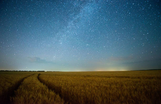 istock Milky way in the night starry sky above scenic road through wheat field 1708891733