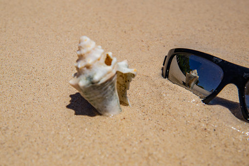 Lambi's shell with a sunglasses on a beach on the island a rat in Labadee, Cap-Haitien on August 04, 2023.