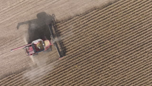 Top-Down View of Combine Harvester Harvesting Dry Soybeans in Field Without Tractor