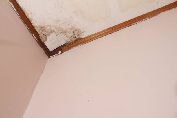 istock the ceiling of the house that is broken 1708957615